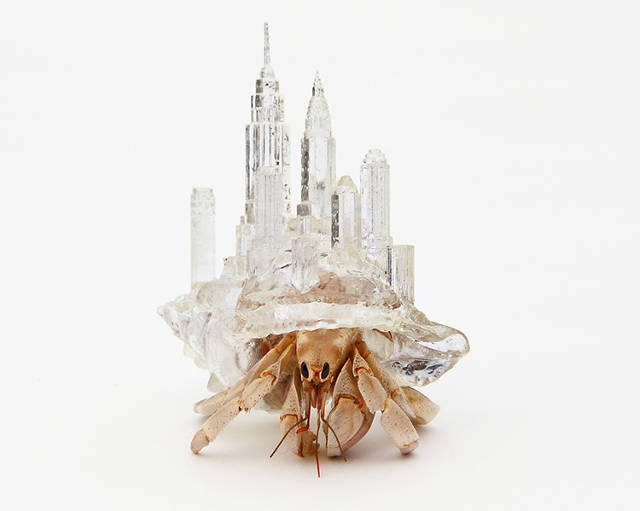 Hermit Crab - NYC - New York City - Inomata