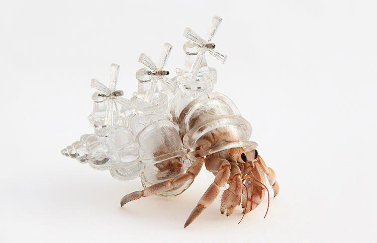 Hermit Crab - Dutch Windmills - Inomata - 3D Model